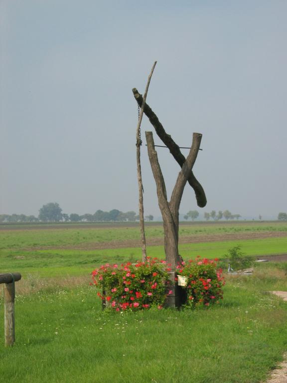 Gasthof Zur Linde Sankt Andrä bei Frauenkirchen Exteriör bild